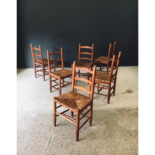 Low Rustic Ladder Back Dining Chairs in Oak and Rush, Belgium, 1950s, Set of 6 For Sale - Image 12 of 18