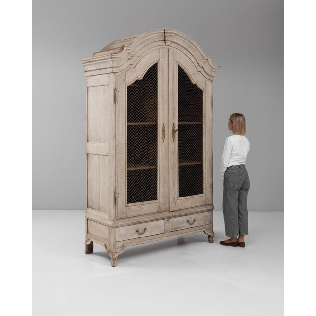 19th Century 19th Century French Louis XV Style Cabinet with Wire Mesh Doors For Sale - Image 5 of 18