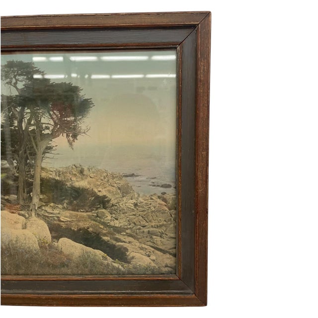 Vintage Framed Tinted Coastal Landscape Photograph of Cypress Trees on Rocky Shoreline. For Sale In Seattle - Image 6 of 10