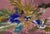 2020s Christian Lacroix Oiseau Fleur Pillows- A Pair For Sale - Image 5 of 6