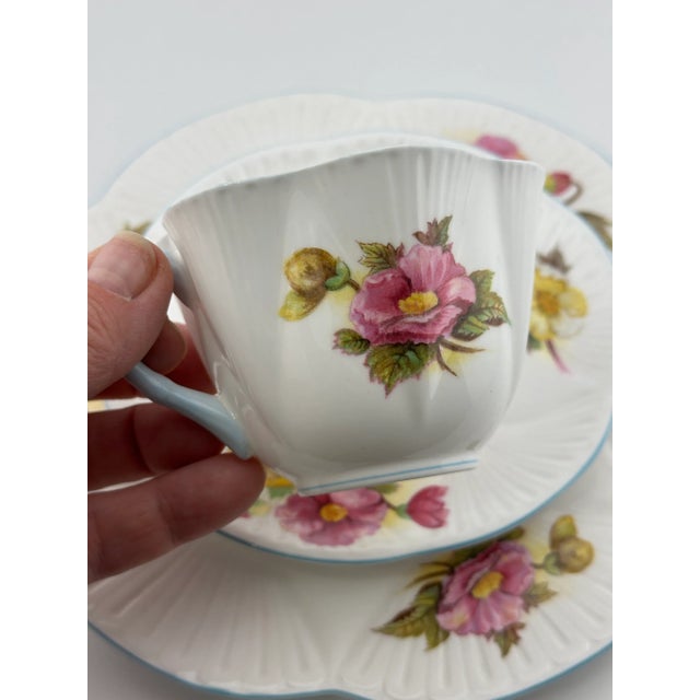 Shelley Shelley Begonia Trio Dainty Shape, Vintage English Bone China 3 Piece Tea Set For Sale - Image 4 of 9