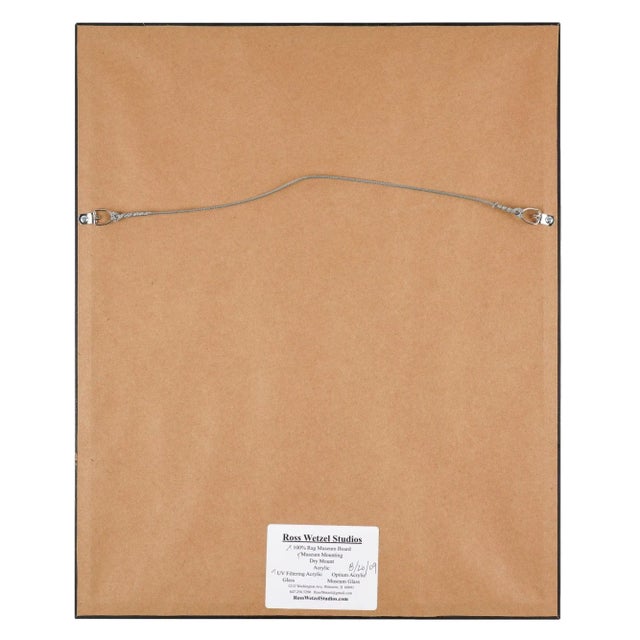 Set of Four Roman Intaglio Engravings by Leonardo Agostini, 1685-1793 For Sale - Image 10 of 12