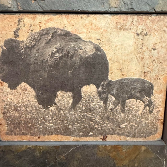 Rustic Shlomo Shuval Sierra Slate Images Bison & Elk Wildlife Wall Art – Pair For Sale - Image 3 of 11