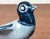 Mid-Century Modern Danish Studio Pottery Bird Candleholder from Søholm, 1960s For Sale - Image 11 of 17