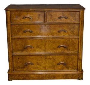 Victorian Burr Walnut Chest