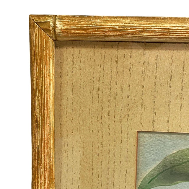 Tan MCM Beach Pink Flamingo Watercolor on Paper Signed by Shirrell Graves, Framed For Sale - Image 8 of 10