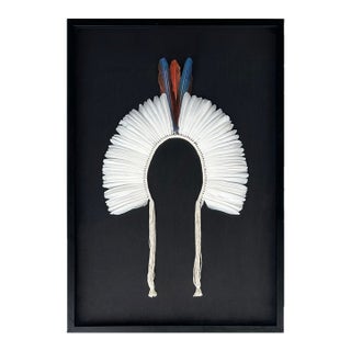 Brazilian Kayapó Wall Decor | Amazon Indigenous Feather Headdress 'Cocar' For Sale