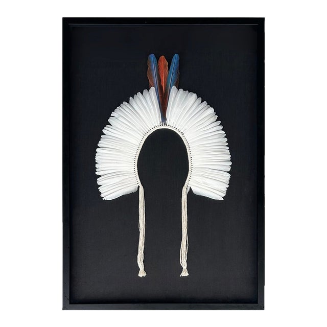 Brazilian Kayapó Wall Decor | Amazon Indigenous Feather Headdress 'Cocar' For Sale