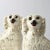 Antique Staffordshire Mantle Dog Figurines with Glass Eyes, 1890s, Set of 2 For Sale - Image 4 of 10