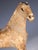Animal Skin Antique Horse Covered in Genuine Horse Hide with Glass Eyes, 1890 For Sale - Image 7 of 16