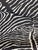 Brunschwig & Fils Brunschwig & Fils Classic Le Zebre Linen Fabric - 2 Yards For Sale - Image 4 of 7