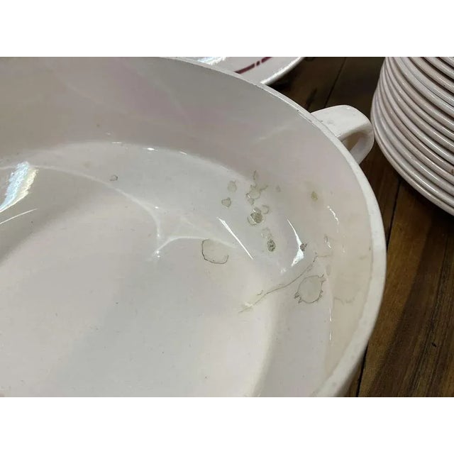 Leo Series Service from Saint Amandinoise, Set of 24 For Sale - Image 5 of 10