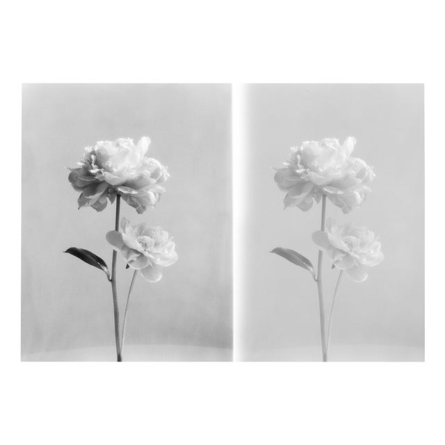 Double Peony - Still Life Film Photography Collage, Limited Edition of 5 2023 For Sale