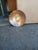 1970s Excellent Wall or Ceiling Light Custom Made For Sale - Image 9 of 9