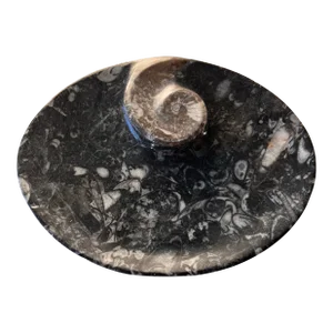 Black Orthoceras Fossil Small Oval Dish With Ammonite Ring