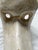 Collection of 8 Vintage Carnival Masks, Handmade in Venice For Sale - Image 13 of 18