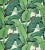 Sample - Hinson for The House of Scalamandré Hinson Palm Wallcovering, Green For Sale