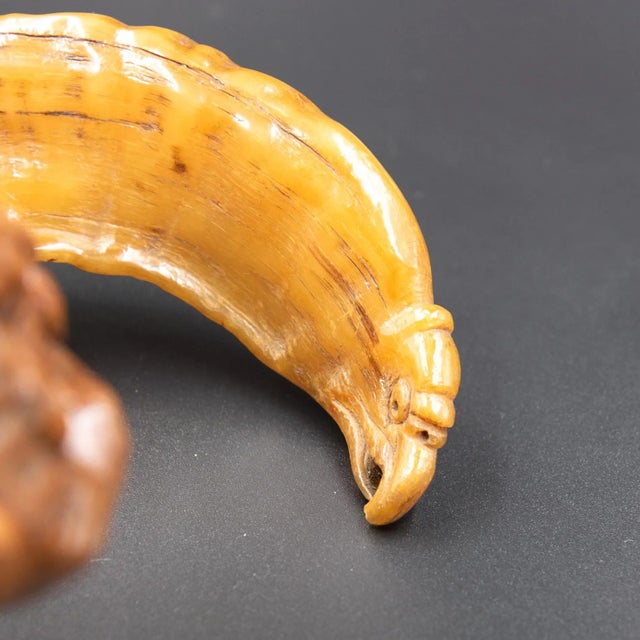 Early 19th Century Scottish Carved Ram's Horn Snuff Mull For Sale - Image 4 of 13