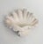 Serge Roche Style Clam Shell Wall Pockets - A Pair For Sale - Image 12 of 13