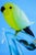 20th Century Sculpture of Parrot on Branch in Opaline Murano Glass attributed to Seguso Glassworks, Set of 2 For Sale - Image 18 of 18