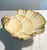 VIETRI Mid 20th Century Mid-Century Modern Italian Viteri Shell Pedestal Centerpiece Bowl For Sale - Image 4 of 6