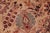 Shabby Chic 1990's Pak-Persian Taupe/Blue Wool Rug - 6'2'' X 9'3'' For Sale - Image 4 of 9