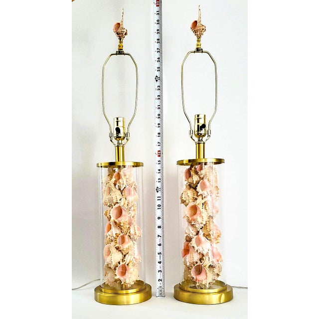 Ralph Lauren Lamps Signed Ralph Lauren Pair Shells Seashells Added For Sale - Image 4 of 18
