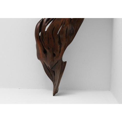 Contemporary S1100 Decorative Object in Tropical Driftwood by Jörg Pietschmann For Sale - Image 3 of 8