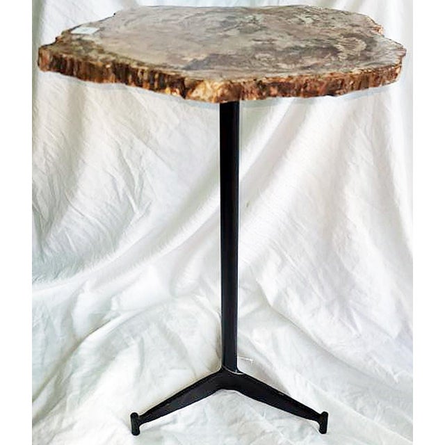 Wow, prehistoric meets Midcentury Modern with this iron based, petrified wood top pedestal side table. Stunning colors...