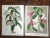 Set of three (3) 19th C. chromolithographs (each color laid in with a separate lithographic stone) depicting flowering...