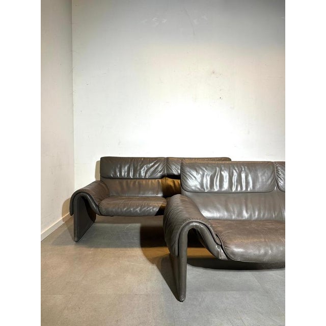 DS-2011 Sofas in Leather from de Sede, Set of 2 For Sale - Image 5 of 5