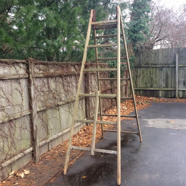 Antique 10 Foot Wooden Fruit Picking Ladder Chairish