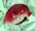 Mid-Century Modern Murano Red Purple Gold Leaf Fish Large Bubbles Italian Art Glass Green Uv Reactive Paperweight, Cenedese Barbini For Sale - Image 3 of 9