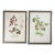 Vintage Botanical Berries Watercolor Paintings - a Pair For Sale