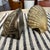 Pair Of Vintage PMC Brass Shell Bookends Mid Century Coastal Scallop VTG MCM Great overall condition. STUNNING APPEARANCE....