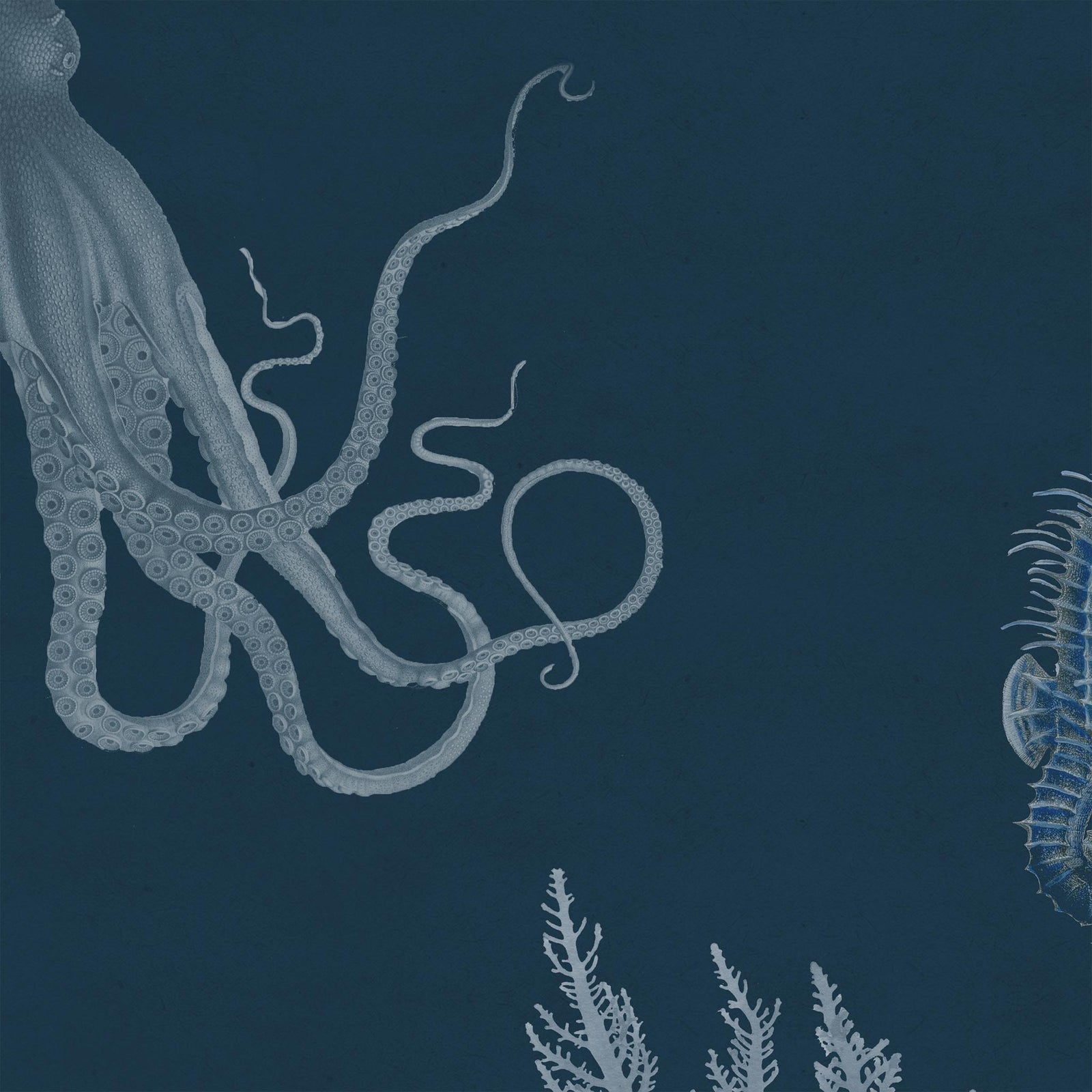 Soicher Marin Sea Life Wallpaper in Royal Blue - 3 Panels | Chairish
