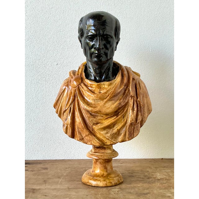 Vintage Grand Tour Plaster Bust of Man For Sale - Image 4 of 12