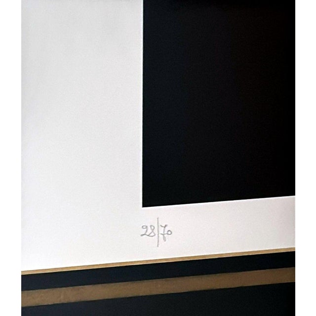 Late 20th Century Marco Lodola Silkscreen on Paper (No. 28/70) in Mirrored Frame For Sale - Image 11 of 18