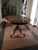 Victoria Walnut Tilt Top Table attributed to Filmer For Sale - Image 4 of 18