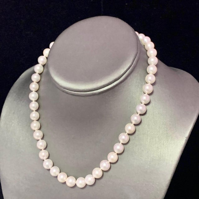 White Akoya Pearl Necklace 14k Yellow Gold Certified For Sale - Image 8 of 10