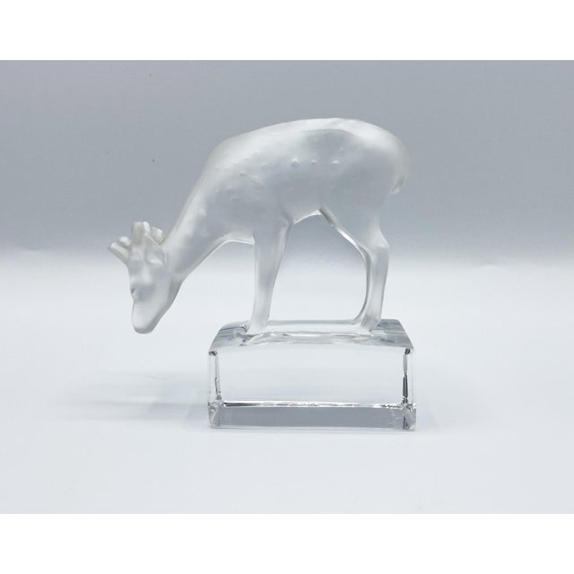 Daim Sculpture in Frosted Glass by René Lalique for Lalique, 1970s For Sale - Image 3 of 13