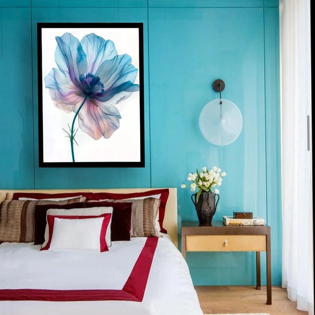 A color photograph of a blue and purple flower. Printed on 300gsm Archival Fine Art Paper.