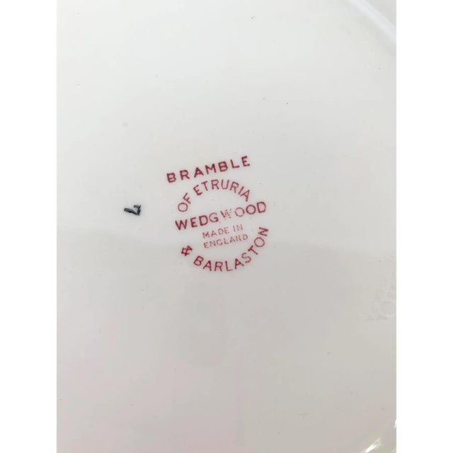 Vintage Wedgwood Bramble of Etruria Pink Salad Plates-a Pair For Sale - Image 9 of 9
