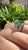 Set in 18k Matte Gold, 5.90 Carats Zambian Emerald & Diamonds Three Stone Ring, Size 6.5 For Sale - Image 6 of 9