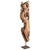 A striking carved wooden fragment showcasing a stylised yali—the mythological guardian figure central to South Indian...