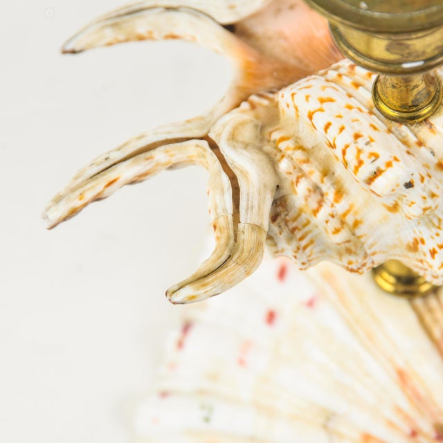 Vintage Natural Seashell and Brass Candlestick Holder Pair For Sale - Image 12 of 13