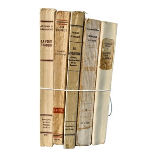 Bundle of Five Vintage French Books For Sale