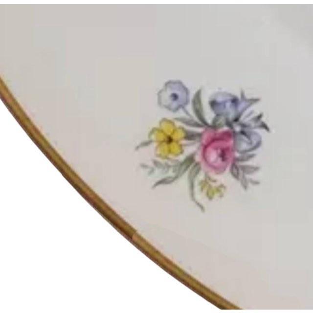Royal Worcester Vintage Royal Worcester Watteau Dinner Plates - Set of 12 For Sale - Image 4 of 6