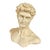 Vintage Carved Resin Grand Tour Bust of David by Michelangelo For Sale