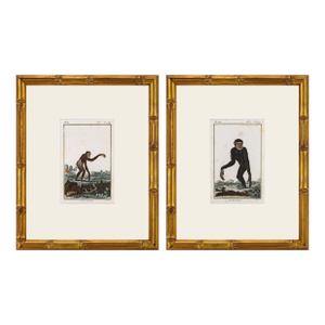 Pair of Original Early 19th Century French Monkey Engravings 1800